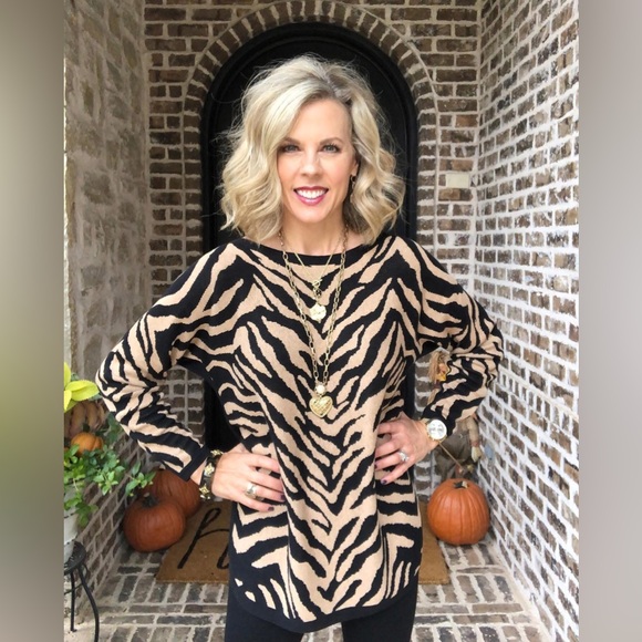 CAbi Sweaters - Cabi Dani Pullover Size M NWT